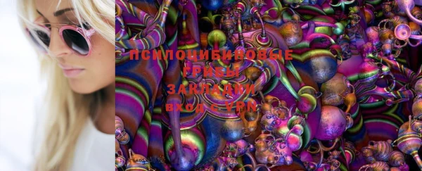 MDMA Premium VHQ Новозыбков