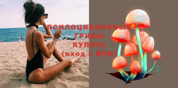 MDMA Premium VHQ Новозыбков